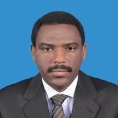 Ahmed M HUSSEIN Babiker, MSc, RPh